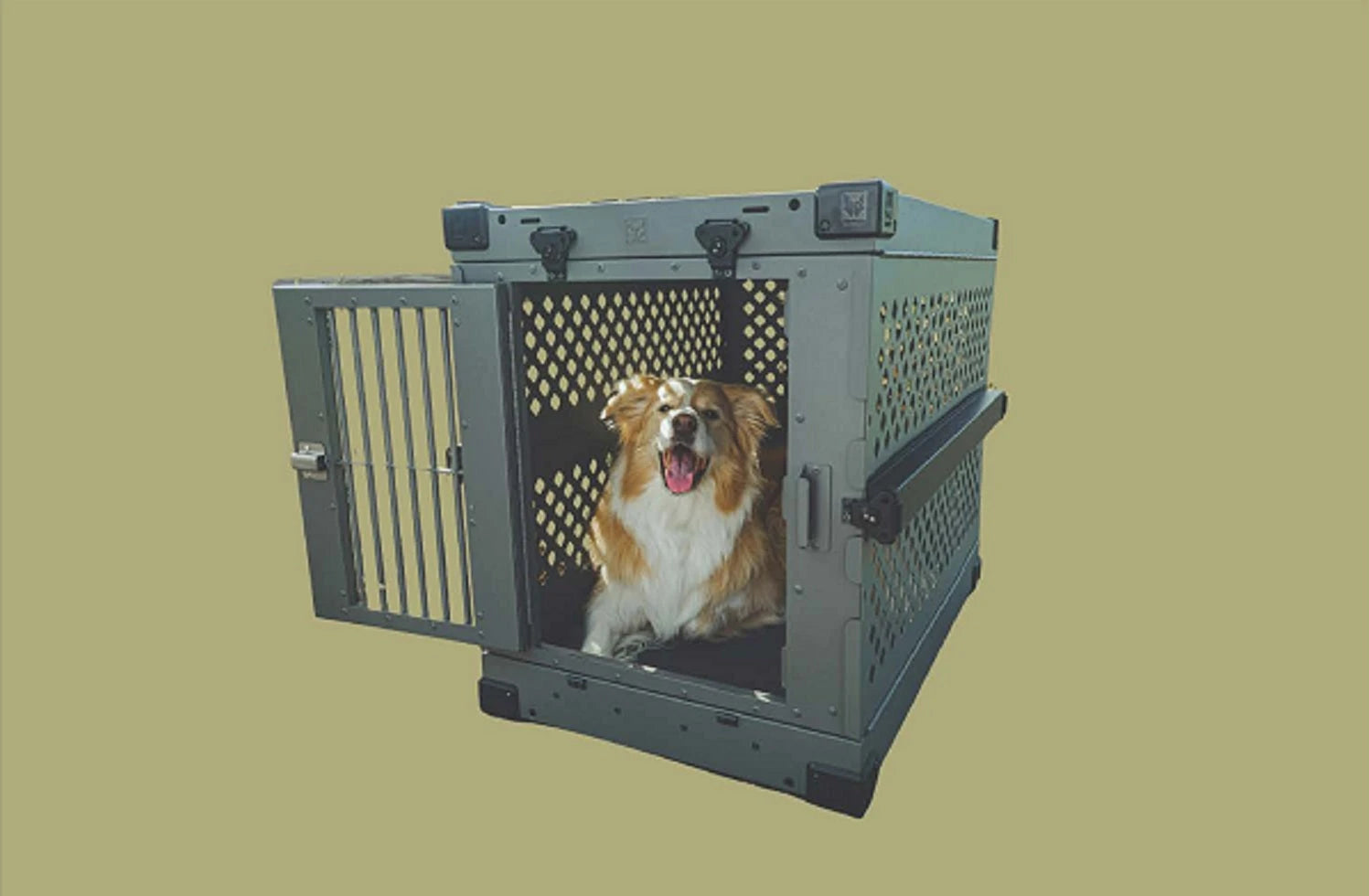 Crates and Kennels