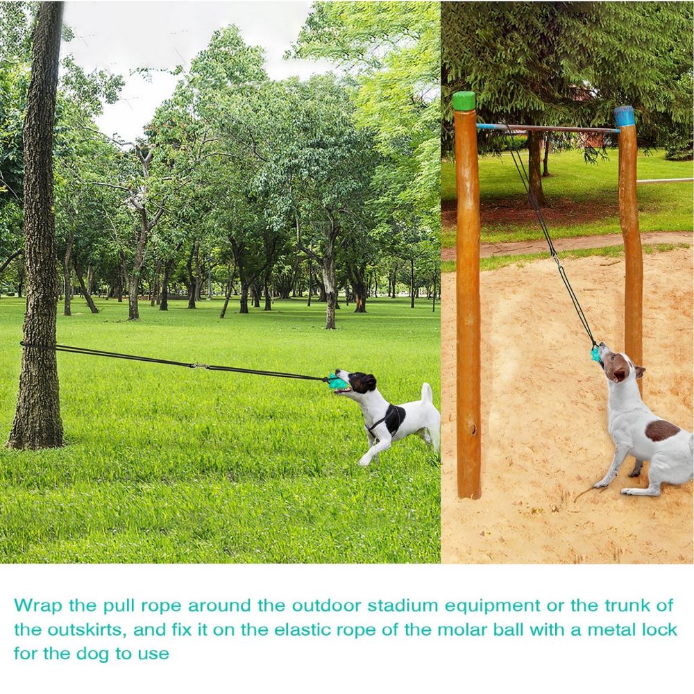 Portable Dog Tie-out Stick Set Outdoor Interactive Tug of War Toy