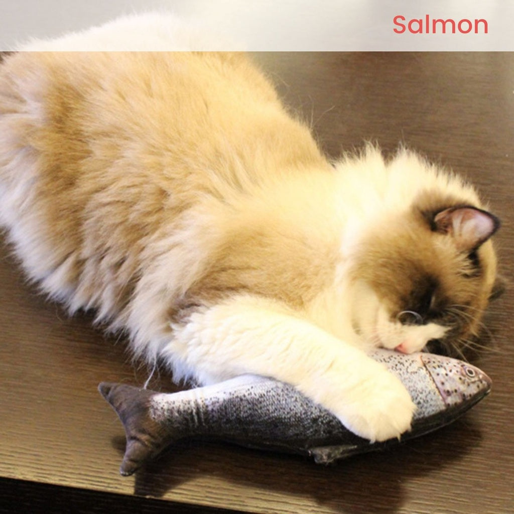 Floofi USB Electric Fish Toy (Salmon)
