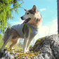 Cooling Vest Neon Yellow 2XL