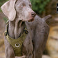 Lightweight Harness Army Green L