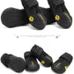 True Love Shoes Black Size 6